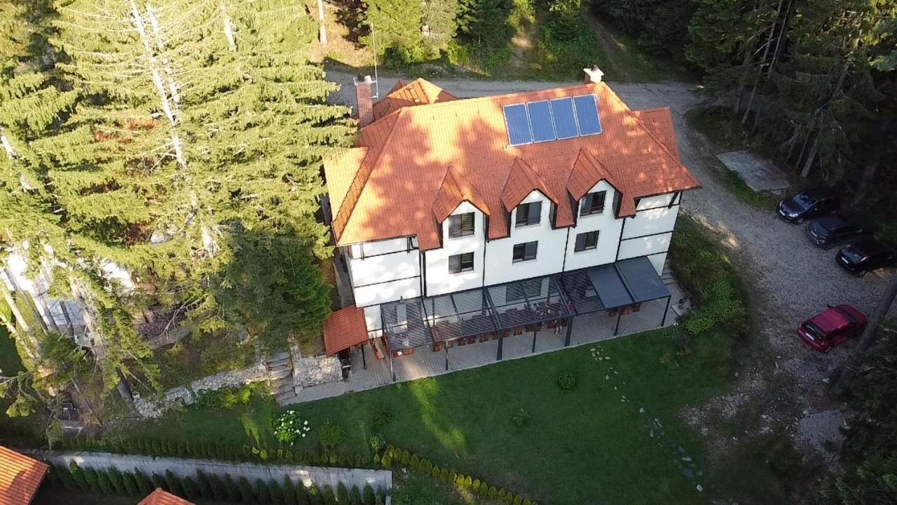 Berghof Eva - Hotel Panicişte Exterior foto