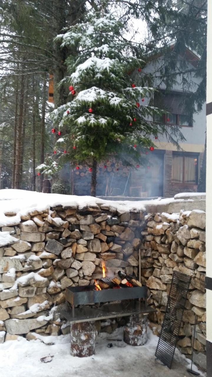 Berghof Eva - Hotel Panicişte Exterior foto